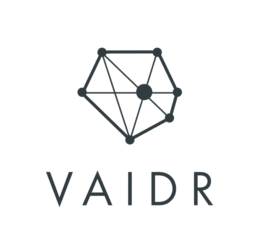 VAIDR Logo Design Monika de Weryha